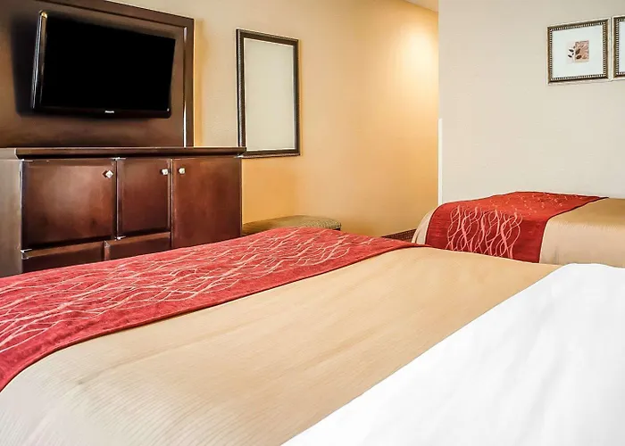 Quality Inn & Suites